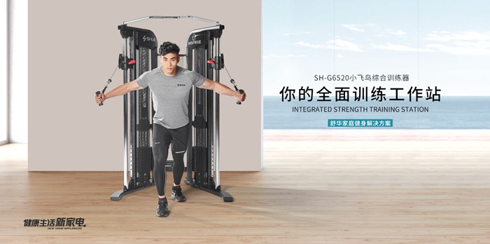 好博健身器材-小飞鸟综合训练器SH-G6520 好博健身器材-小飞鸟综合训练器SH-G6520